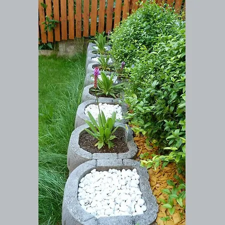 Appartement Brandegg