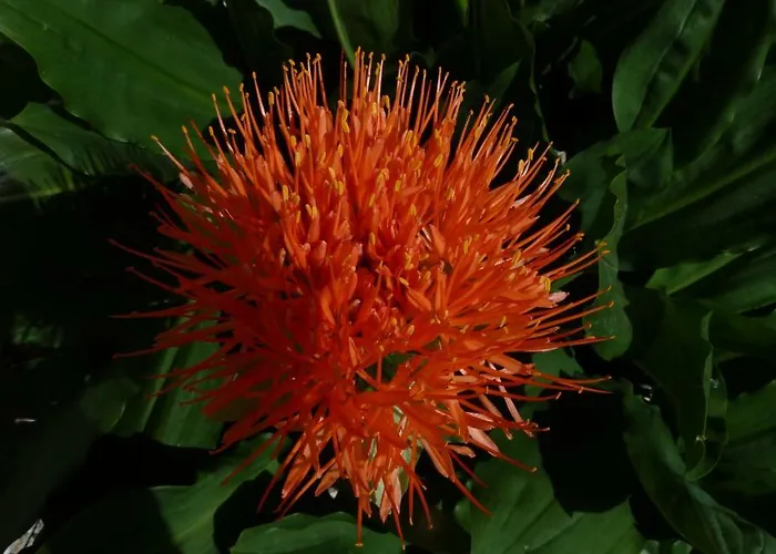 Apartamento Brandegg