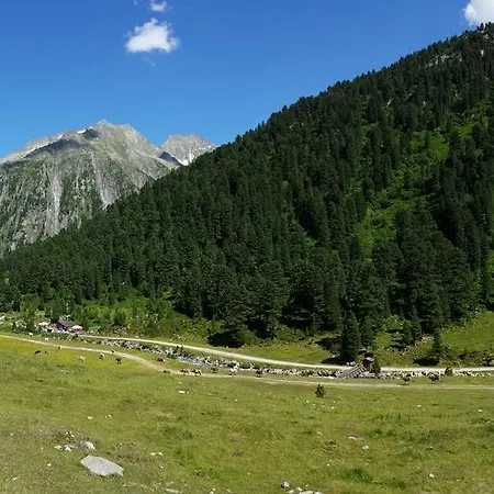 شقة Brandegg تكس