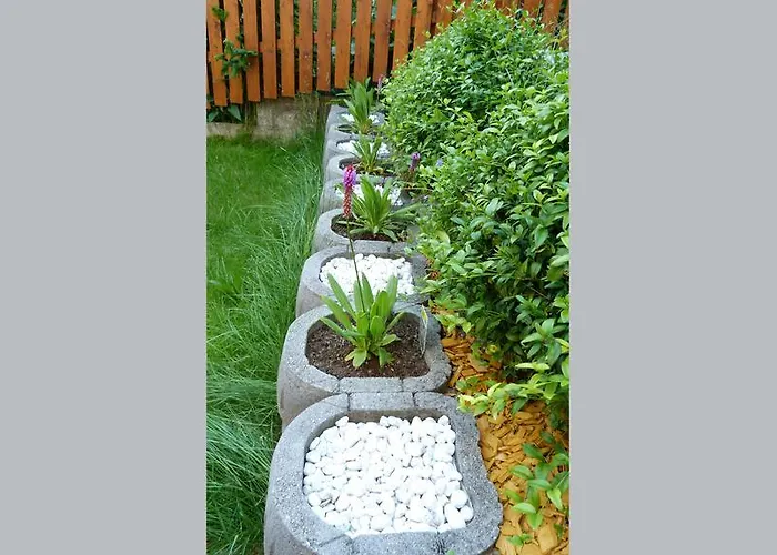 Appartement Brandegg