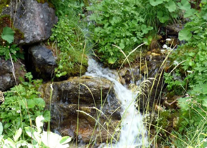 Appartement Brandegg *