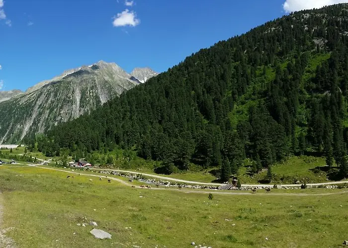 Appartement Brandegg Tux